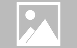 新泰网页设计师周记（网页设计周记26篇300字）
