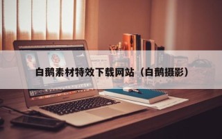 新泰白鹅素材特效下载网站（白鹅摄影）